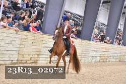 23R13_02972 thumbnail