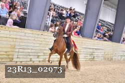 23R13_02973 thumbnail