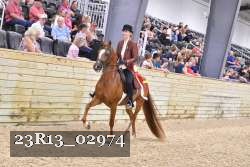 23R13_02974 thumbnail