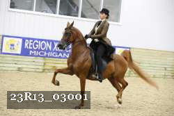 23R13_03001 thumbnail