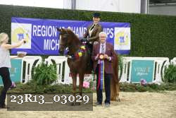 23R13_03029 thumbnail