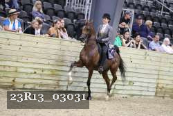 23R13_03031 thumbnail