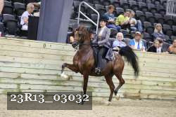 23R13_03032 thumbnail