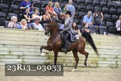 23R13_03033 thumbnail