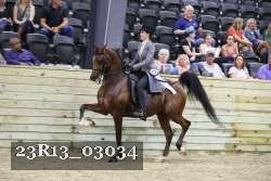 23R13_03034 thumbnail