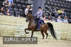 23R13_03036 thumbnail