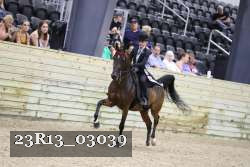 23R13_03039 thumbnail