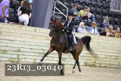 23R13_03040 thumbnail