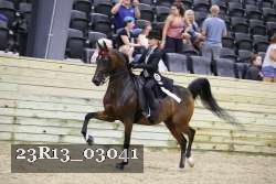 23R13_03041 thumbnail