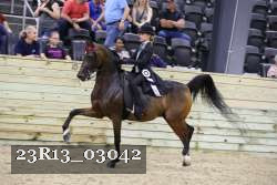 23R13_03042 thumbnail