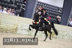 23R13_03043 thumbnail