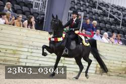23R13_03044 thumbnail