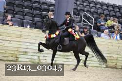 23R13_03045 thumbnail