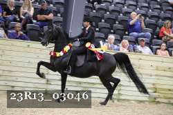 23R13_03046 thumbnail