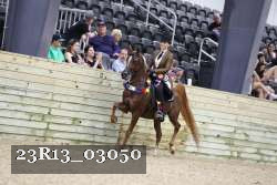23R13_03050 thumbnail