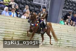 23R13_03051 thumbnail