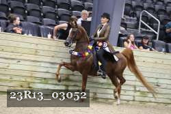 23R13_03052 thumbnail
