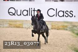 23R13_03077 thumbnail