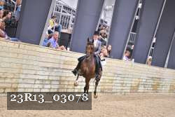 23R13_03078 thumbnail