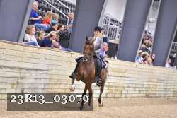 23R13_03079 thumbnail