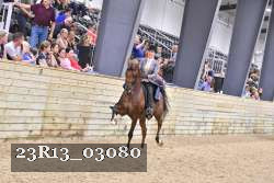 23R13_03080 thumbnail