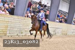23R13_03082 thumbnail