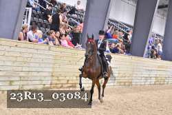 23R13_03084 thumbnail