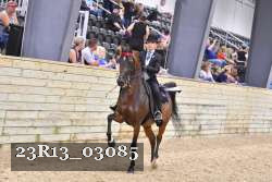 23R13_03085 thumbnail