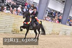23R13_03089 thumbnail