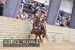 23R13_03093 thumbnail
