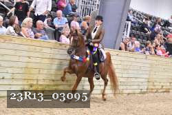 23R13_03095 thumbnail