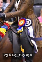 23R13_03098 thumbnail