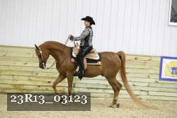 23R13_03123 thumbnail
