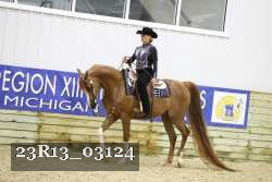 23R13_03124 thumbnail
