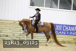 23R13_03125 thumbnail
