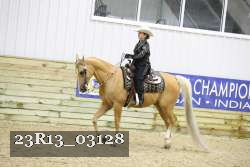 23R13_03128 thumbnail