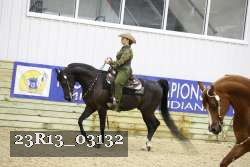 23R13_03132 thumbnail