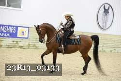 23R13_03133 thumbnail