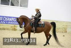 23R13_03134 thumbnail