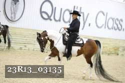 23R13_03135 thumbnail