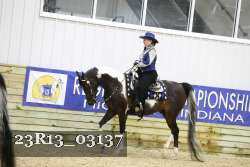 23R13_03137 thumbnail
