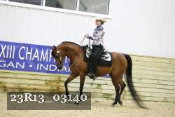23R13_03140 thumbnail