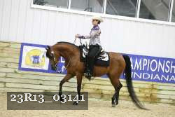 23R13_03141 thumbnail
