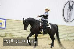 23R13_03145 thumbnail