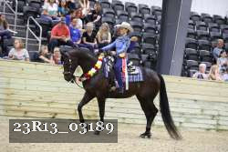 23R13_03189 thumbnail