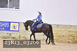 23R13_03206 thumbnail