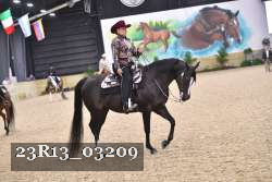 23R13_03209 thumbnail