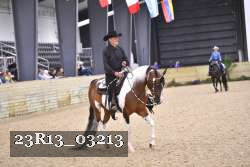 23R13_03213 thumbnail
