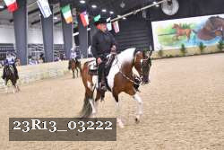 23R13_03222 thumbnail