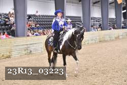23R13_03223 thumbnail